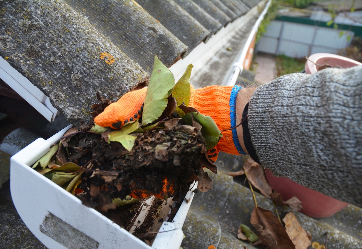 Cleaning a clogged roof gutter from dirt, debris and fallen leaves